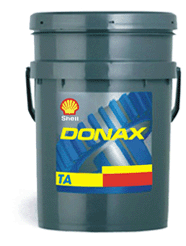 Shell Donax TA